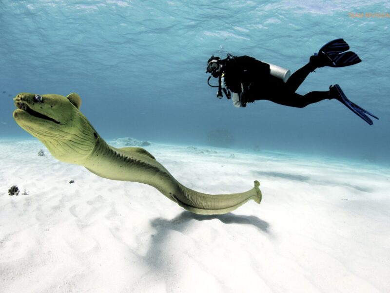 1_6 MALE ATOLL _ 5 DAYS