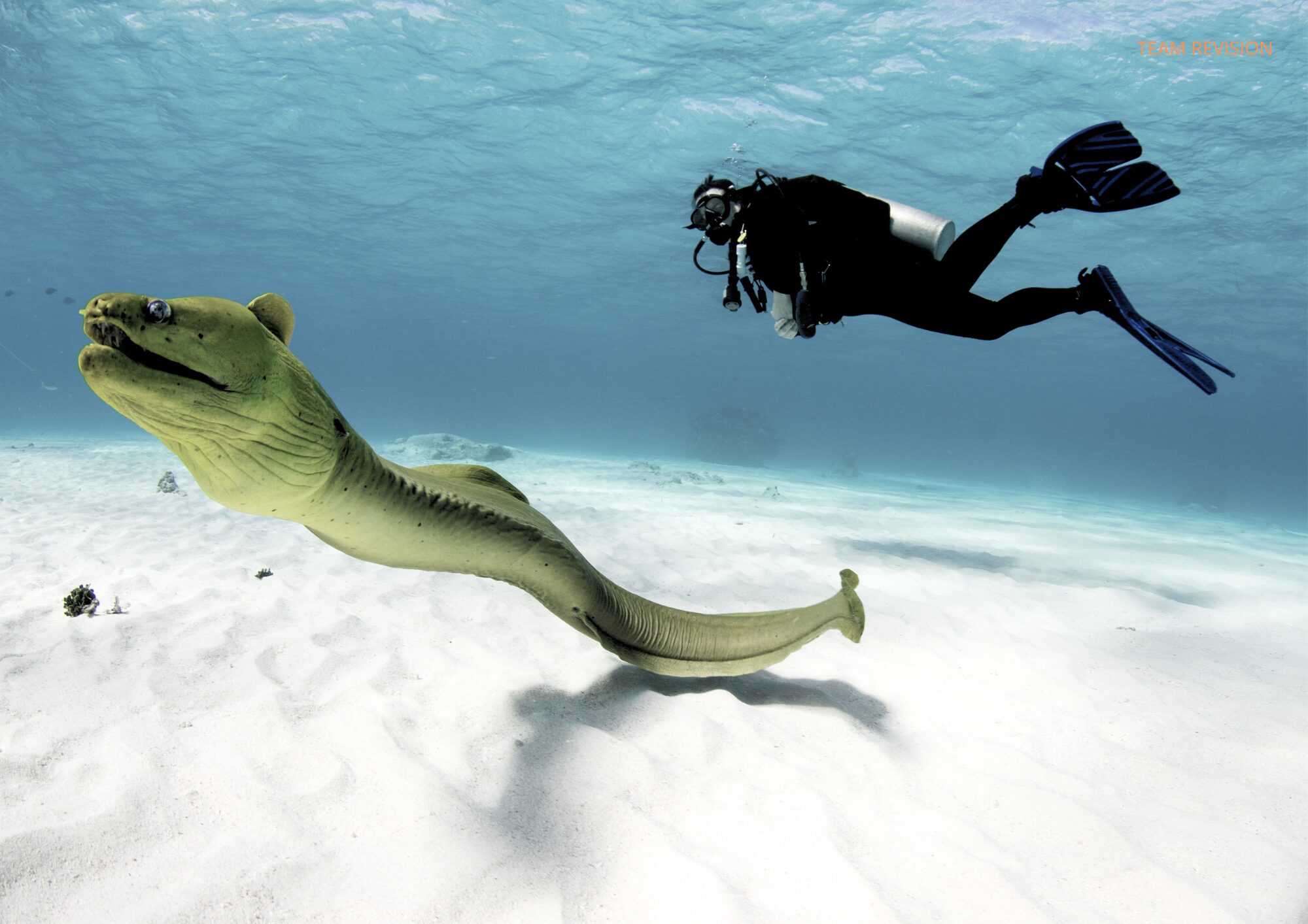 1_6 MALE ATOLL _ 5 DAYS