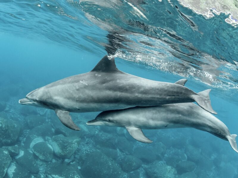 4_6 HUVADHU ATOLL _ 6 Days