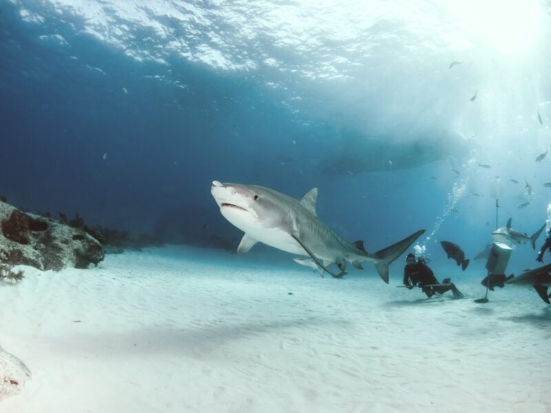 6_6 Huvadhu to Fuvahmulah Atoll Crossing_ 7 Days