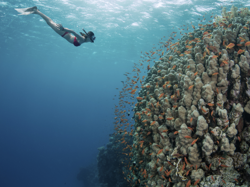Day 2 – North Male Atoll