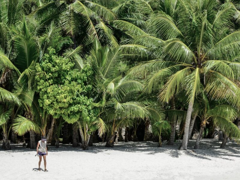 Day 3 – Island Rhythm