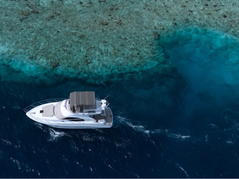 Maldives-Private-Luxury-Sunset-Wildlife Cruise-Avalon